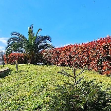Bed and Breakfast La Bella Addormentata Chieti Exterior foto